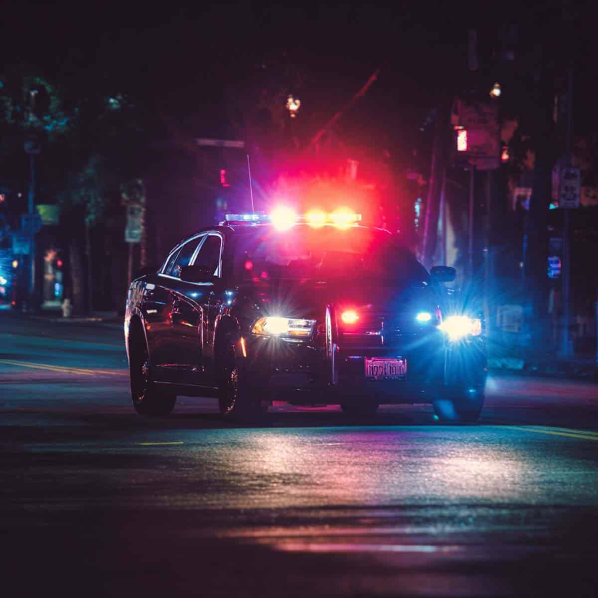 What is Trenton's Law Florida